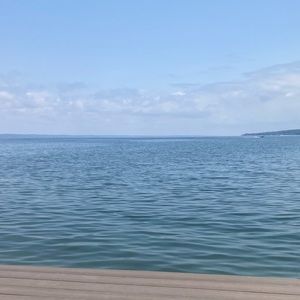 Meet your Posher, Ella